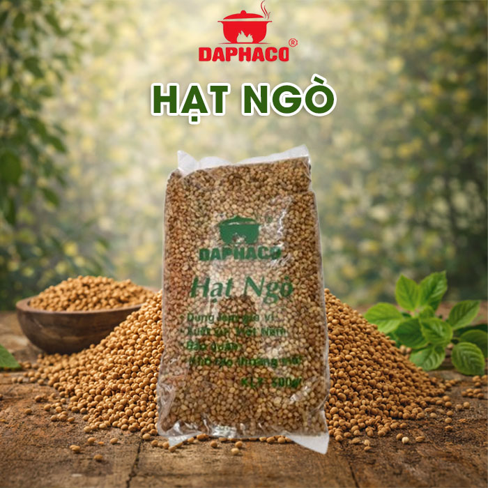 Hạt và bột ngò (Hạt rau mùi)
